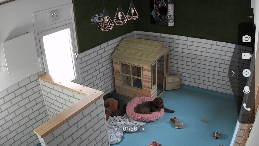 Photo attached to Gillian’s review of Murphy and Amber’s stay